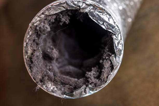Best Air Duct Cleaning Near Me  in Woodbury, TN
